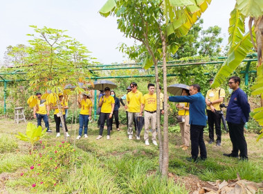 ศึกษาดูงานโครงการพัฒนาพื้นที่ต้นแบบการพัฒนาคุณภาพชีวิต ... พารามิเตอร์รูปภาพ 7